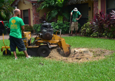 4 Benefits Of Hiring A Professional For Stump Removal