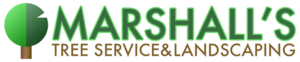 Marshall's Tree Service and Landscaping