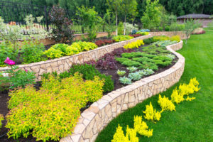 Florida City Tree & Landscaping Services