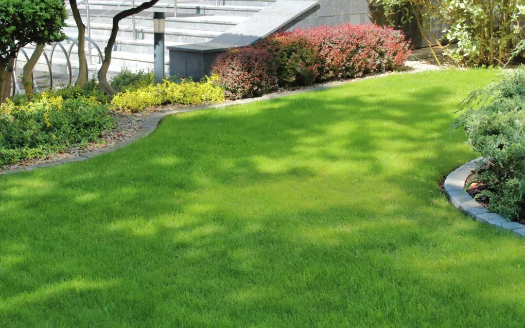 6 Unique Landscaping Ideas for Office Buildings