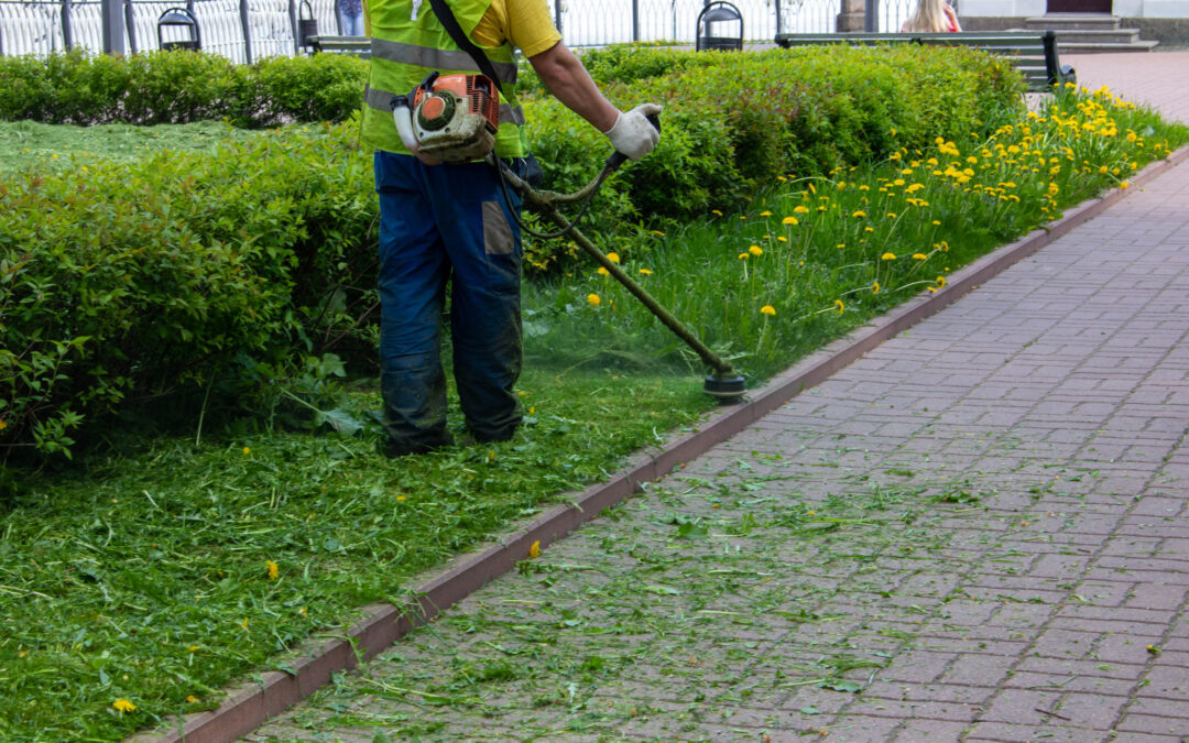 Professional Landscaping Services in Coral Springs