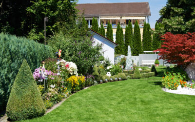7 Important Things To Consider When Planning Your Landscape Design