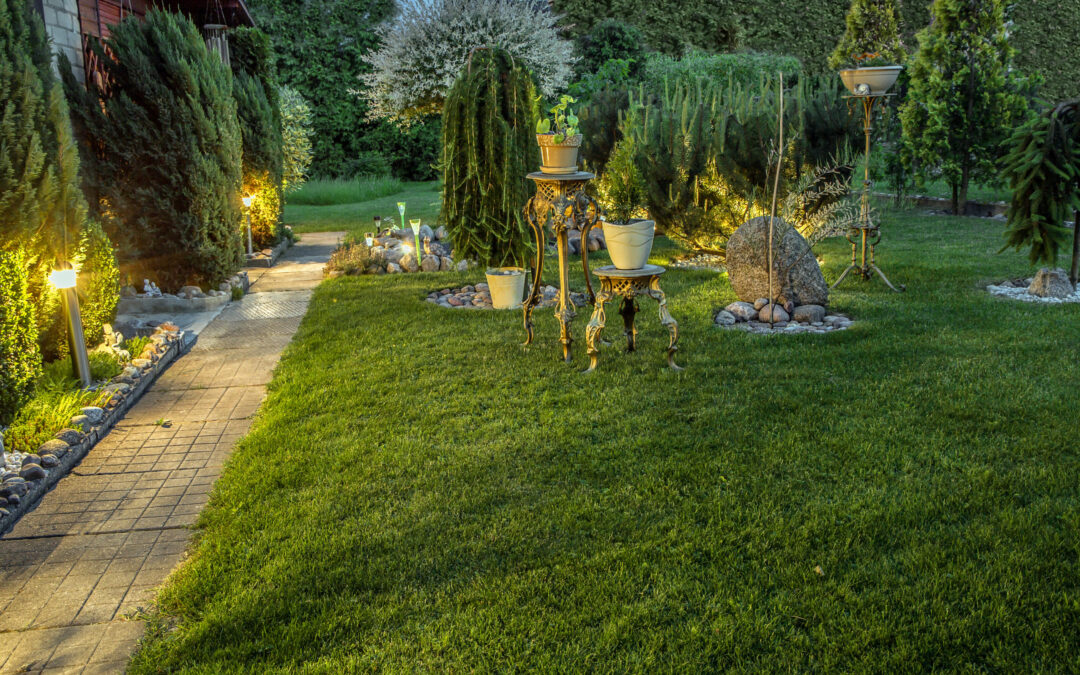 Top 7 Landscaping Tips for Beginners