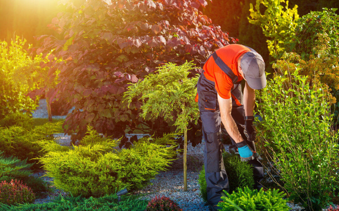 Benefits of Hiring a Professional Landscaper